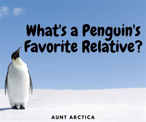 penguin dating puns